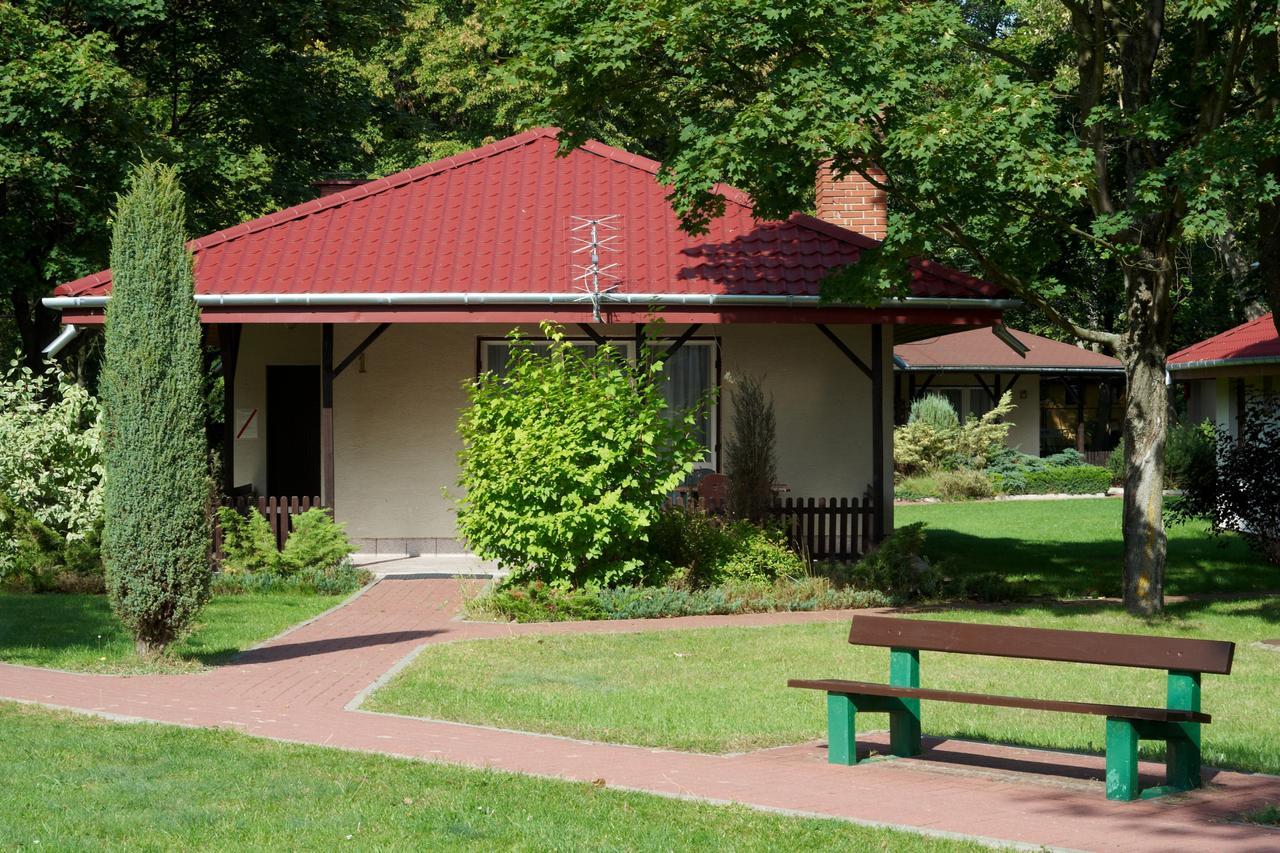 Hotel Lipowy Przyladek - Szkolenia I Wypoczynek Serock Esterno foto