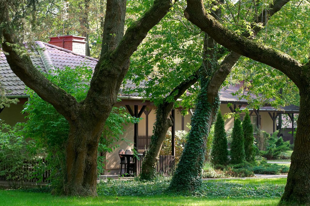 Hotel Lipowy Przyladek - Szkolenia I Wypoczynek Serock Esterno foto