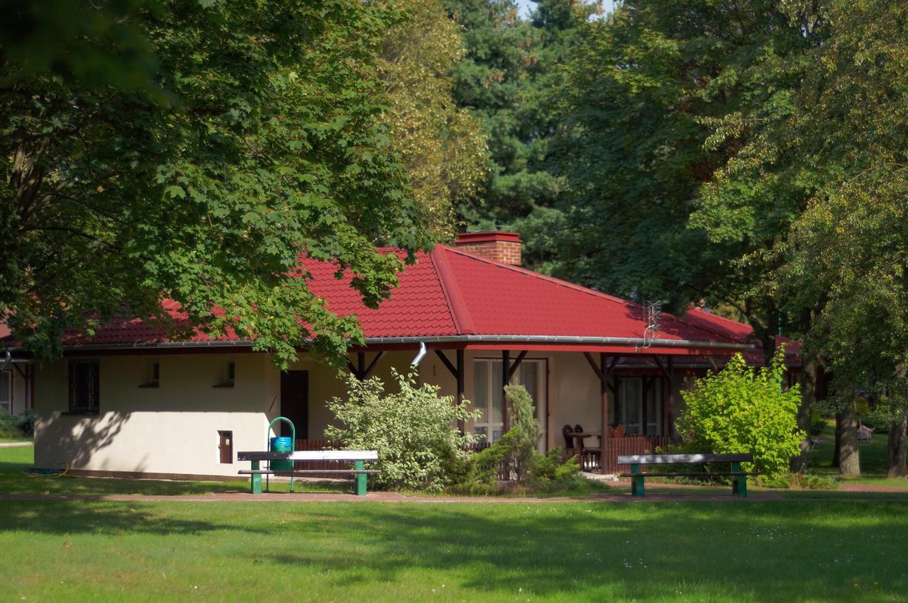 Hotel Lipowy Przyladek - Szkolenia I Wypoczynek Serock Esterno foto